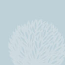 Garden Court Chambers: tree